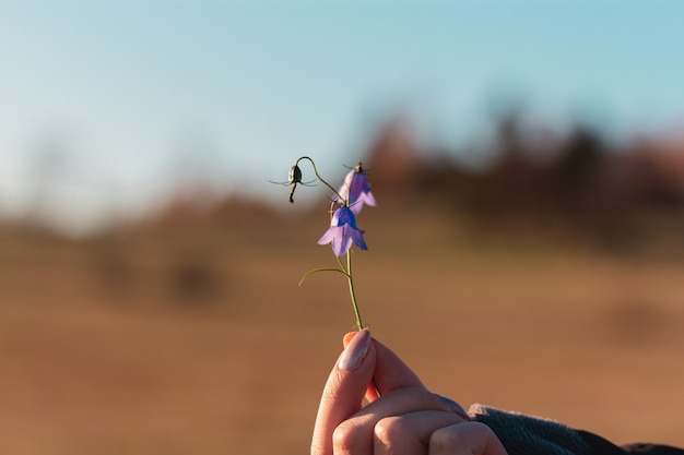 Foto gratuita primer plano de una mano sujetando campanillas bajo la luz del sol