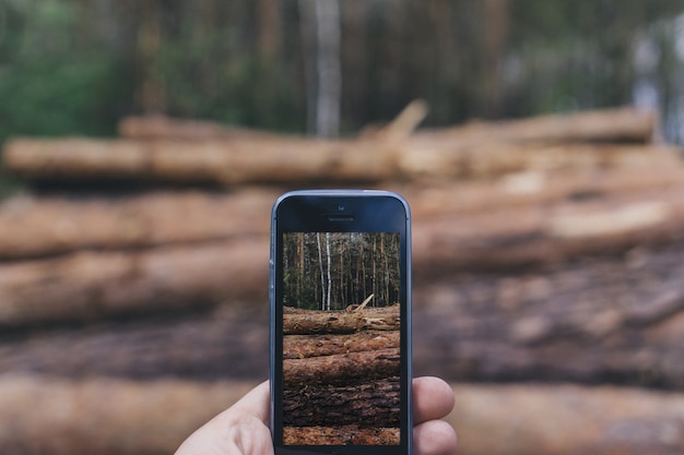 Primer plano de mano tomando una foto de troncos con el teléfono móvil