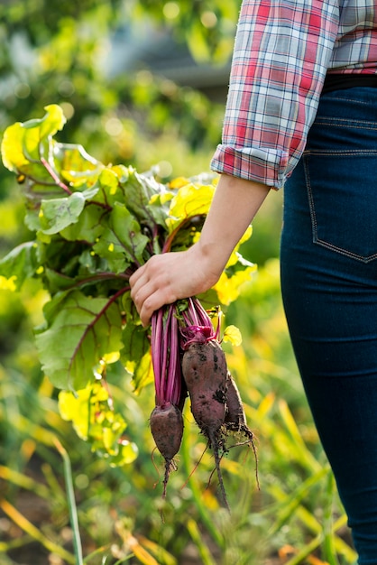 Primer plano mano verduras