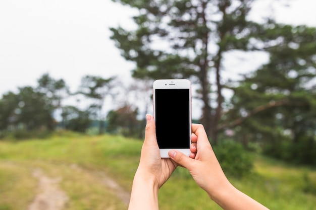 Primer plano de las manos haciendo clic en el teléfono inteligente en el bosque