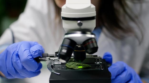 Primer plano de las manos del investigador químico mirando una muestra de hoja con microscopio observando la mutación genética en la planta