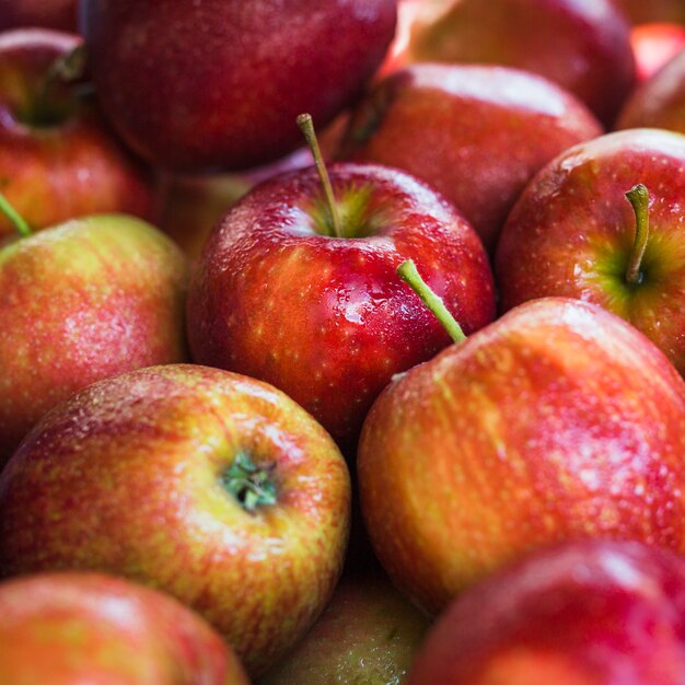 Primer plano de manzanas orgánicas maduras rojas