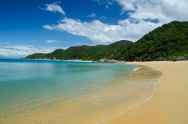 Primer plano del mar azul de Abel Tasman Track, Nueva Zelanda