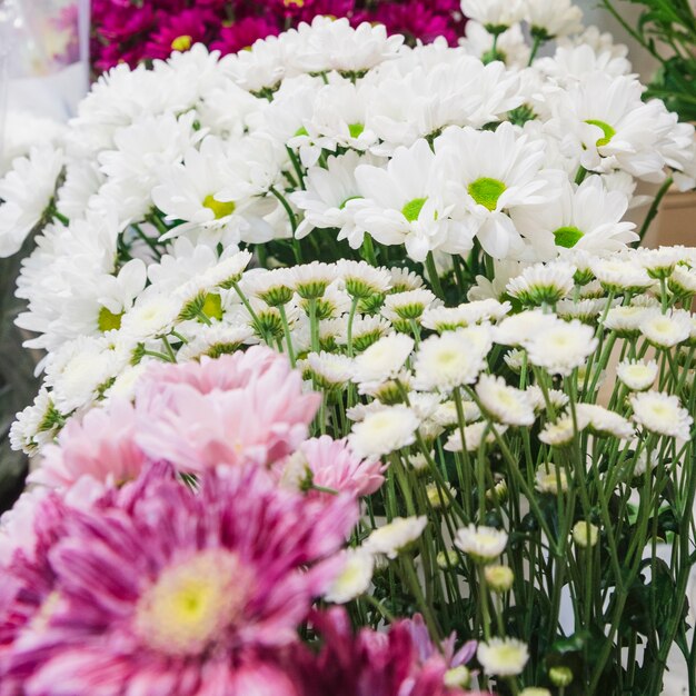 Primer plano de la margarita blanca y flores de manzanilla ramo