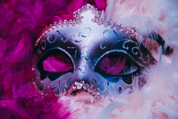 Primer plano de la máscara veneciana de carnaval en suaves plumas