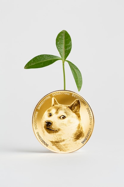 Foto gratuita un primer plano de las monedas de perro