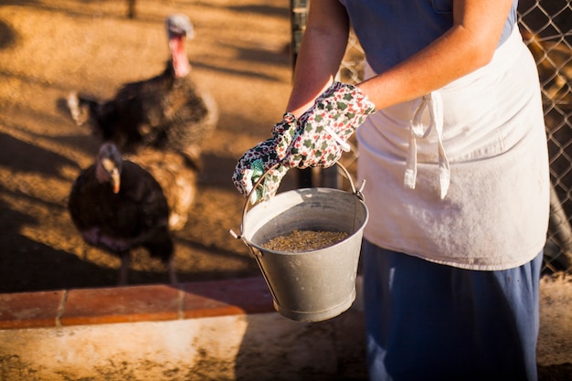 Primer plano, de, un, mujer, alimentación, gallinas