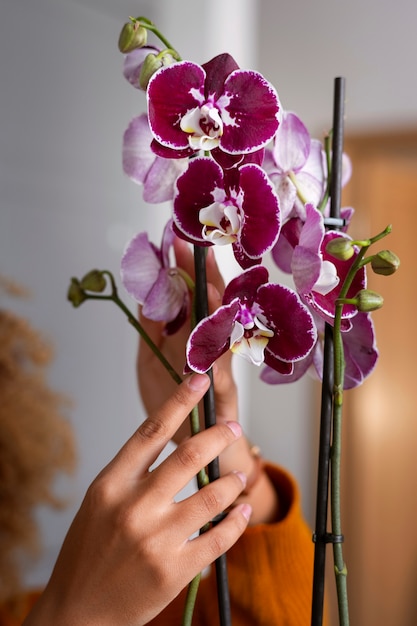 Primer plano de una mujer decorando su casa con orquídeas