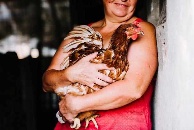 Primer plano, de, mujer, llevar, gallina