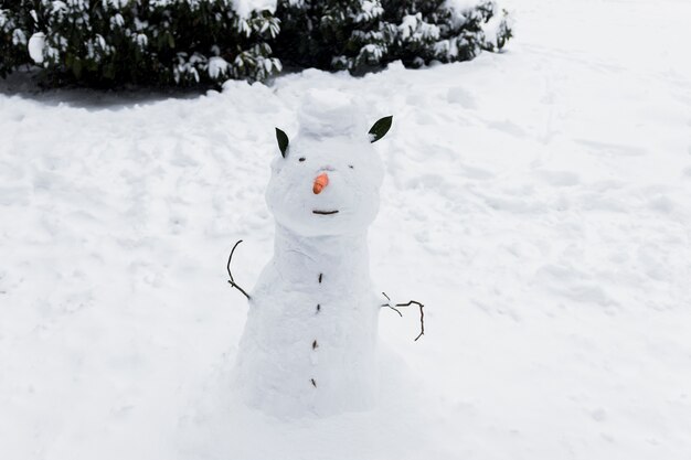 Primer plano de un muñeco de nieve en tierra nevada en temporada de invierno
