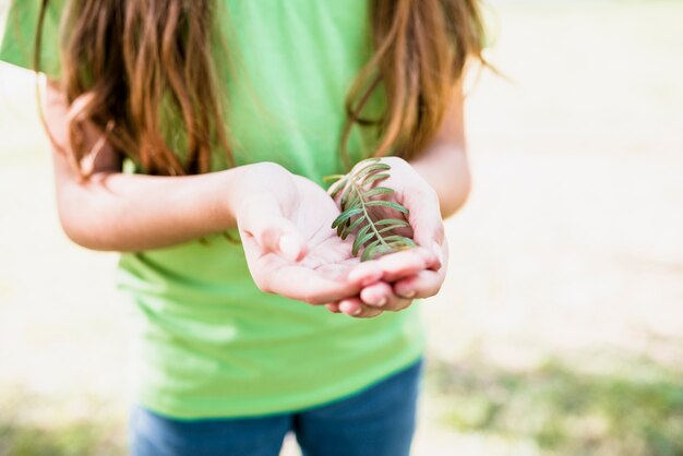 Primer plano, de, un, niña, en, camiseta verde, tenencia, ramita, en, manos