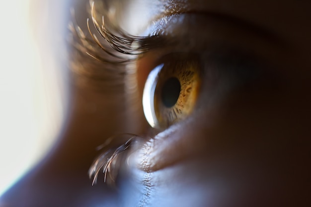 Primer plano de la niña hermosa ojos marrones