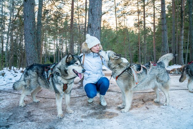 Primer plano de una niña con perros de trineo huskies en la nieve