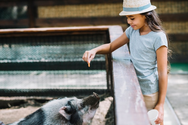 Primer plano de una niña sonriente alimentar galletas para cerdo en la granja