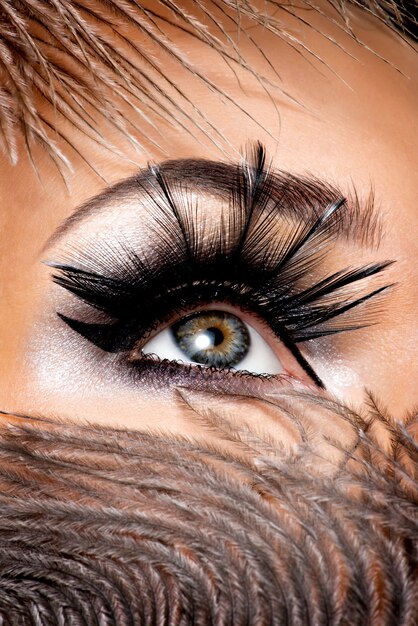 Primer plano ojo femenino con hermoso maquillaje de moda con pestañas postizas largas