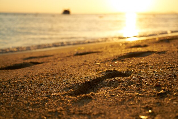 Primer plano de orilla del mar al atardecer