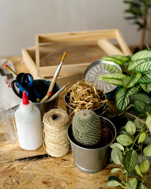 Foto gratuita primer plano de papelerías con planta