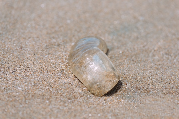 Primer plano de un pedazo de cuerpo de medusas con fondo de arena de playa