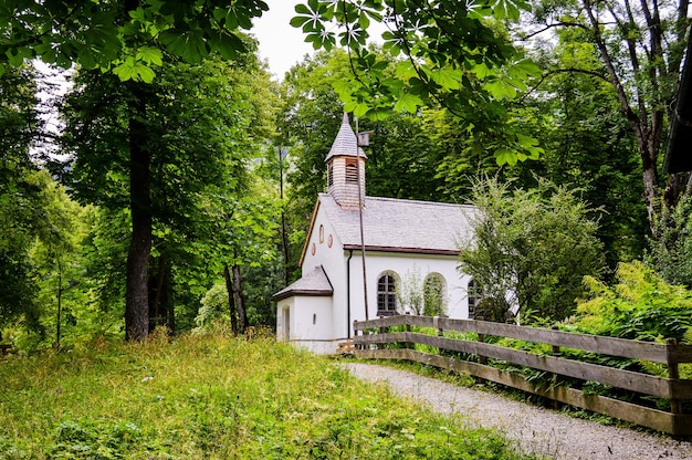 Primer plano de una pequeña iglesia blanca en el bosque