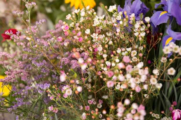 Primer plano del pequeño ramo de flores de primavera