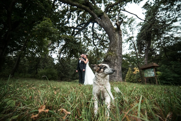 Primer plano de perro con recién casados de fondos