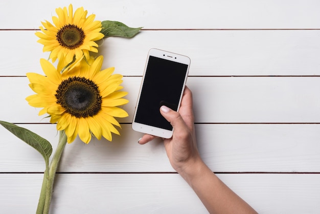 Primer plano de una persona con teléfono celular cerca de los girasoles amarillos en mesa de madera blanca