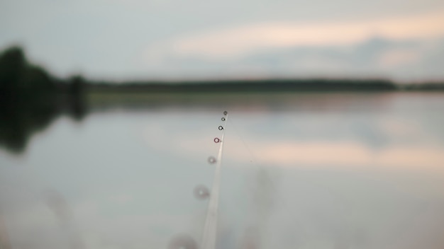 Primer plano de la pesca en el idílico lago borroso