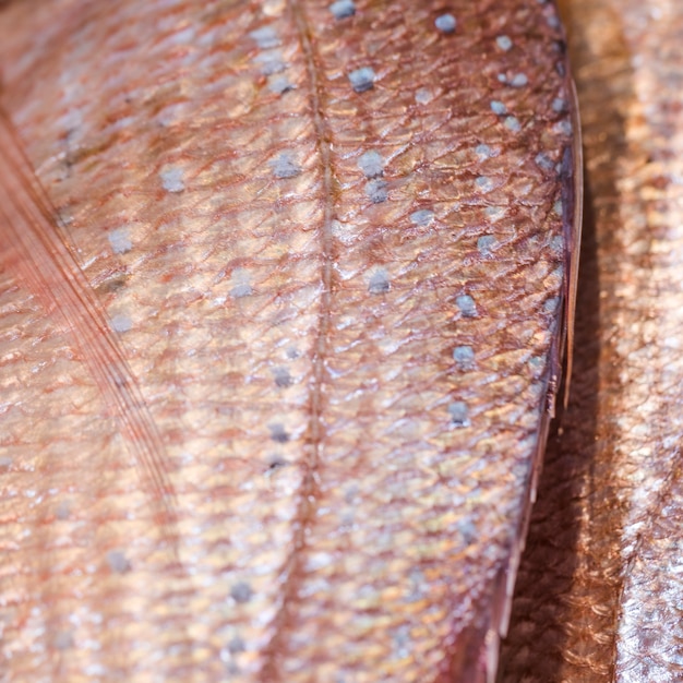 Foto gratuita primer plano de pescado congelado en la tienda