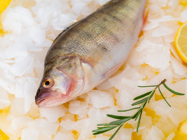 Foto gratuita primer plano de pescado fresco listo para ser refrigerado
