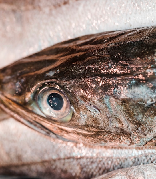 Foto gratuita primer plano de pescado fresco para la venta