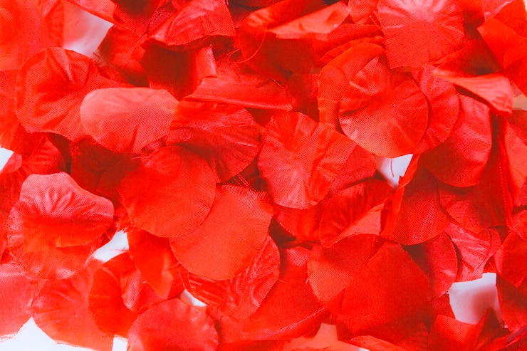 Foto gratuito primer plano de pétalos rojos