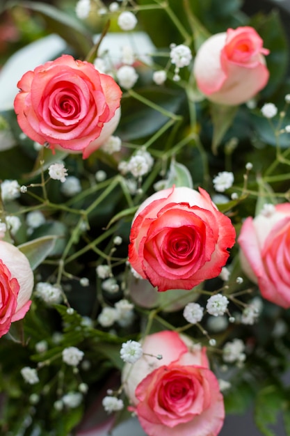 Foto gratuita primer plano pétalos de rosas hermosas