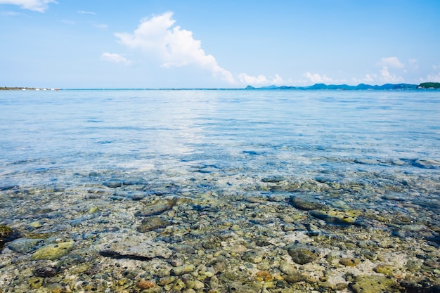 Primer plano de una piedra de mar bajo el agua