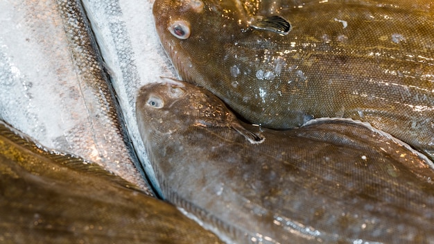 Primer plano de la pila de pescado fresco