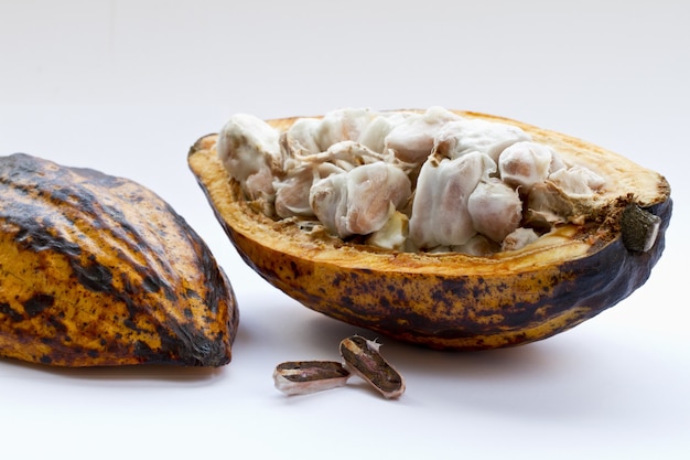 Primer plano de una planta de cacao cortada sobre una superficie blanca