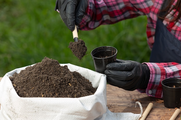 Primer plano de la planta de plantación de manos del jardinero