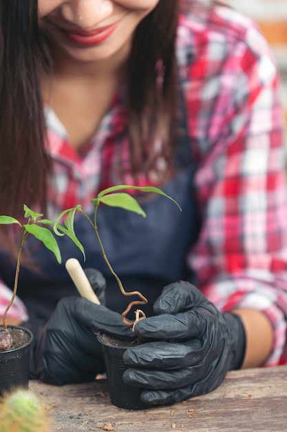 Primer plano de la planta de plantación de manos del jardinero