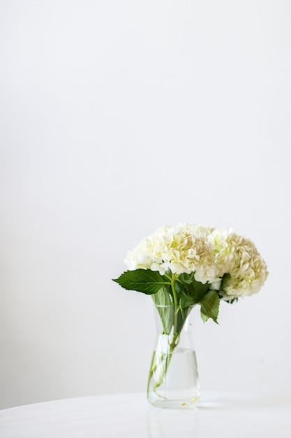 Primer plano de la plantilla social de hortensias blancas