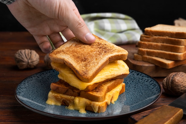 Primer plano de queso derretido en sándwich