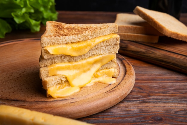 Primer plano de queso derretido en sándwich