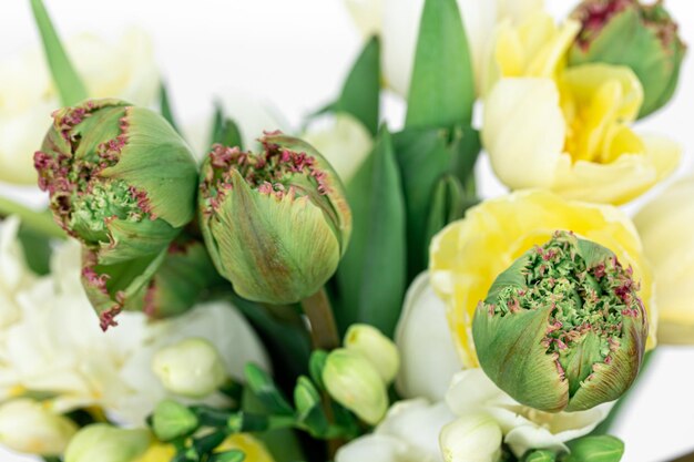 Primer plano un ramo de flores blancas y amarillas