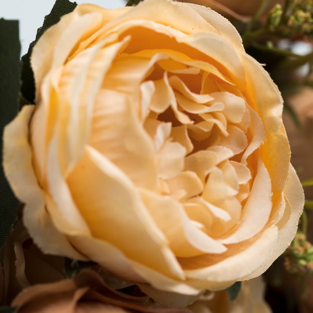 Foto gratuita primer plano ramo de rosas en flor