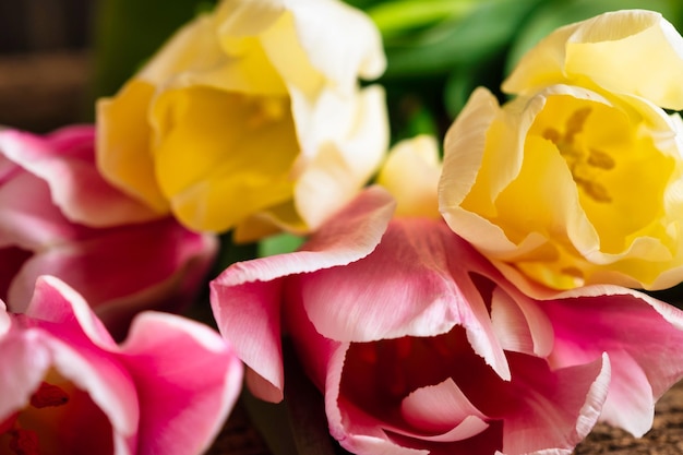 Primer plano de un ramo de tulipanes amarillos y rosas sobre el fondo de madera oscura