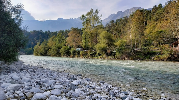 Primer plano de un río que fluye en un bosque de otoño