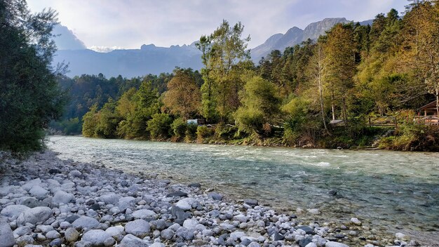 Primer plano de un río que fluye en un bosque de otoño