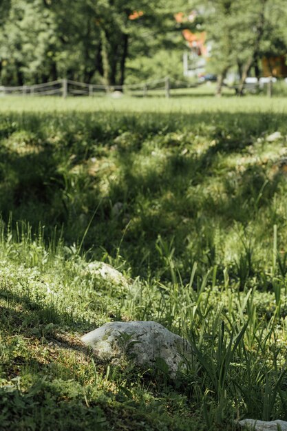 Primer plano de la roca en el pasto de tierras de cultivo