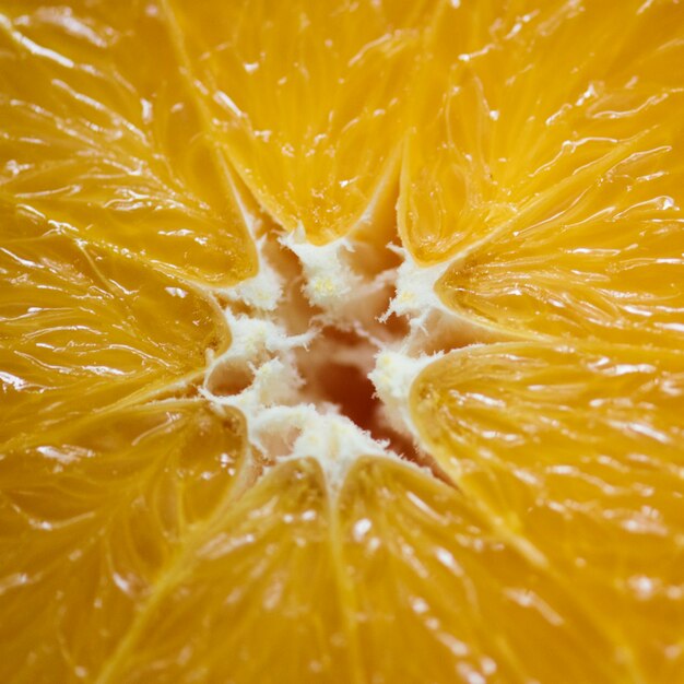 Primer plano de rodaja de naranja fresca