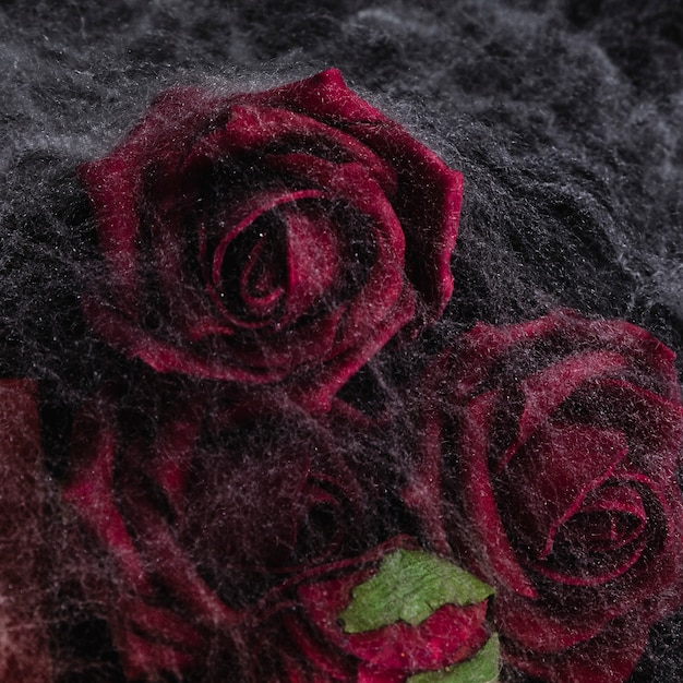 Foto gratuita primer plano de rosas con telaraña