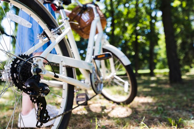 Primer plano de la rueda trasera de una bicicleta.