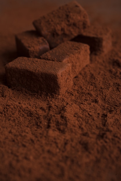 Primer plano de sabrosos dulces de chocolate oscuros cubiertos de chocolate en polvo